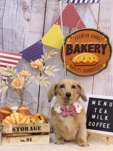 20240907モカちゃん